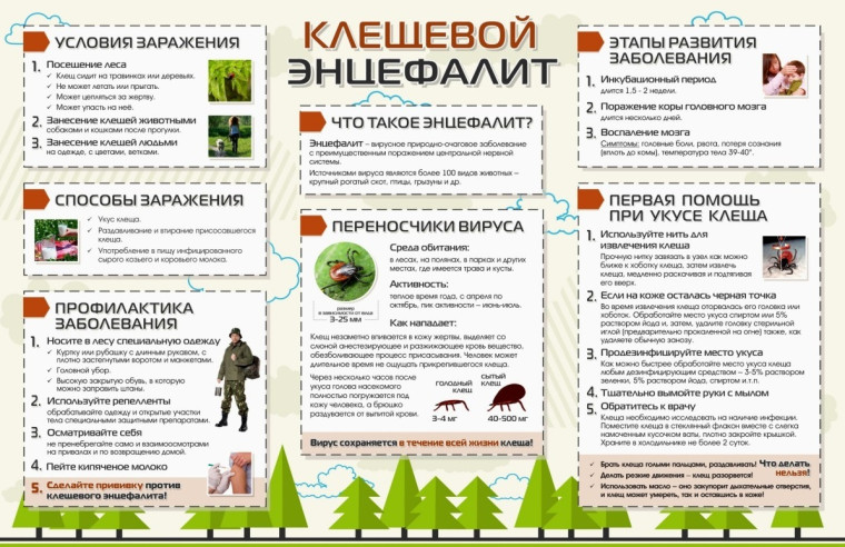 Осторожно, клещи!.